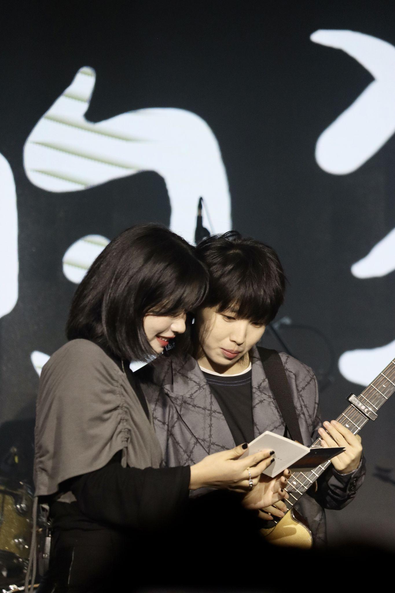 请给我房东的猫的高清无水印图好吗