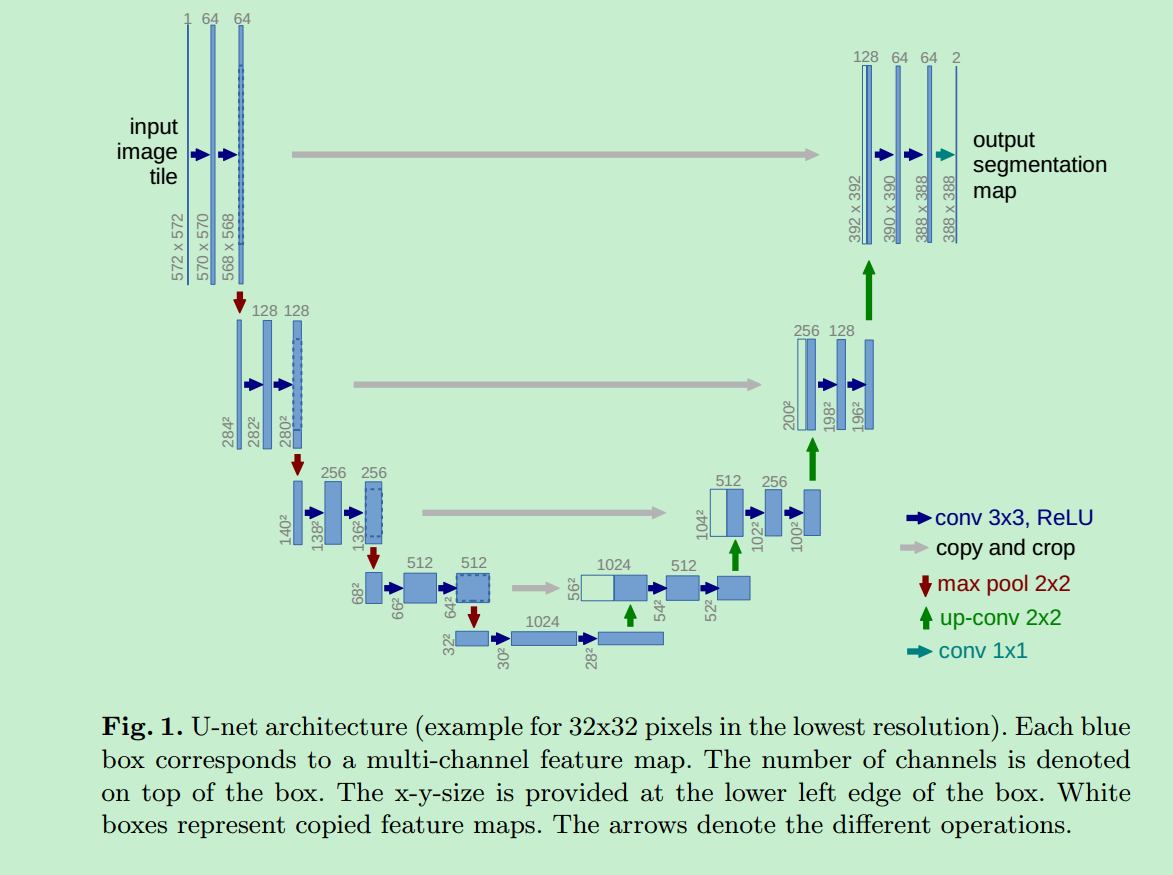 语义分割之U-net