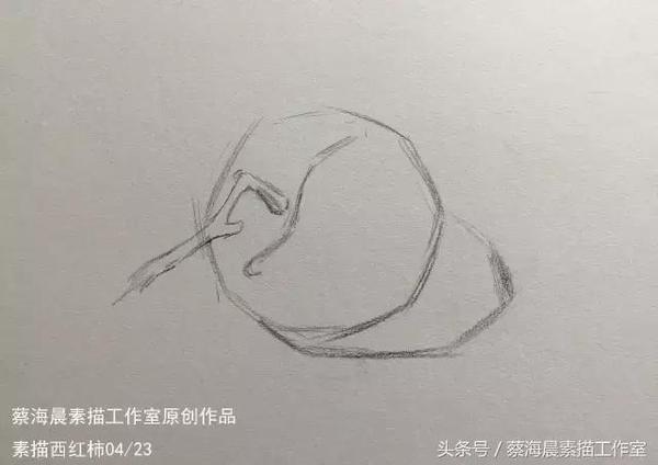 蔡海晨素描步驟稿12素描西紅柿的畫法