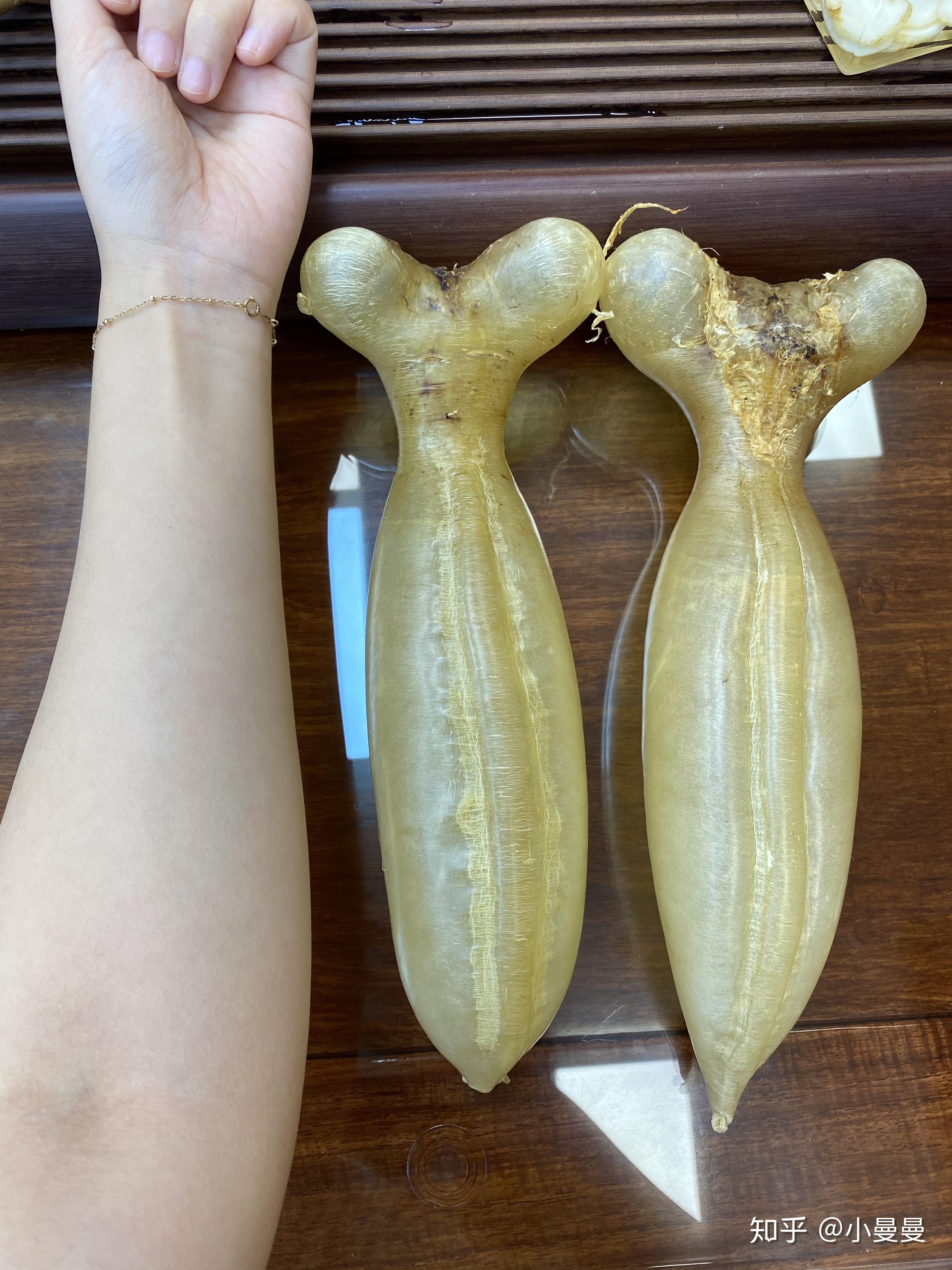 传说中薄如纸贵如金的蜘蛛胶