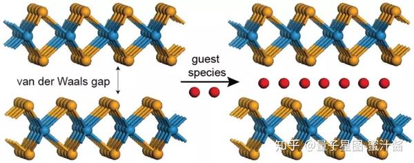 二維過渡金屬硫化物的插層技術一