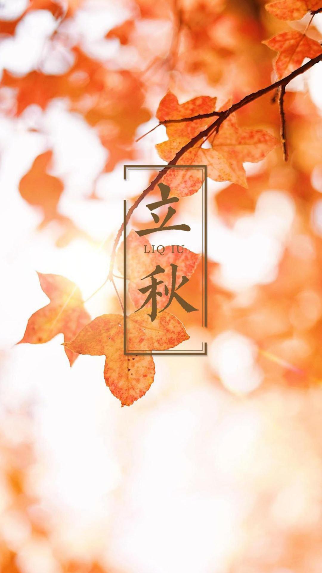 立秋 风吹一片叶 万物已惊秋 知乎 立秋 风吹一片叶 万物已惊秋 知乎