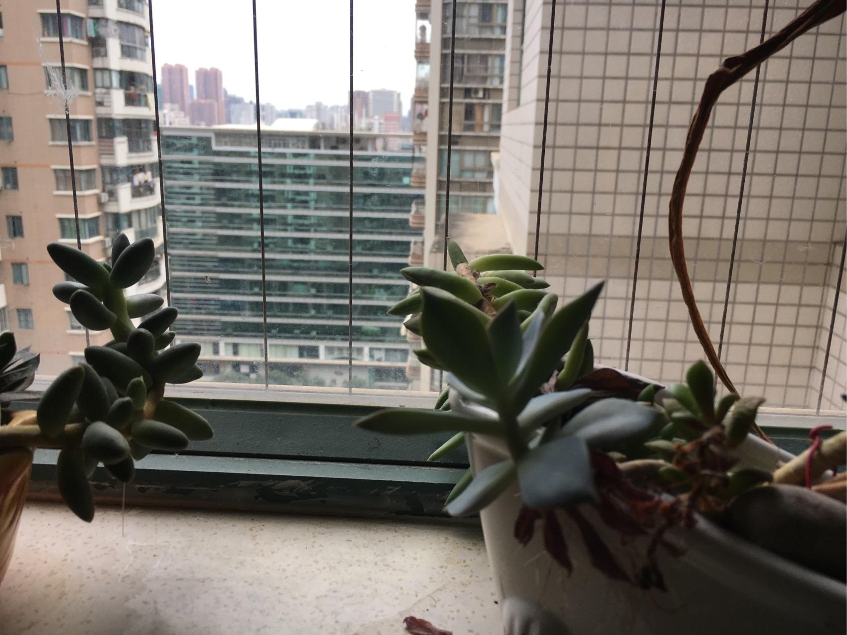 有没有什么比较好用的相机app软件?