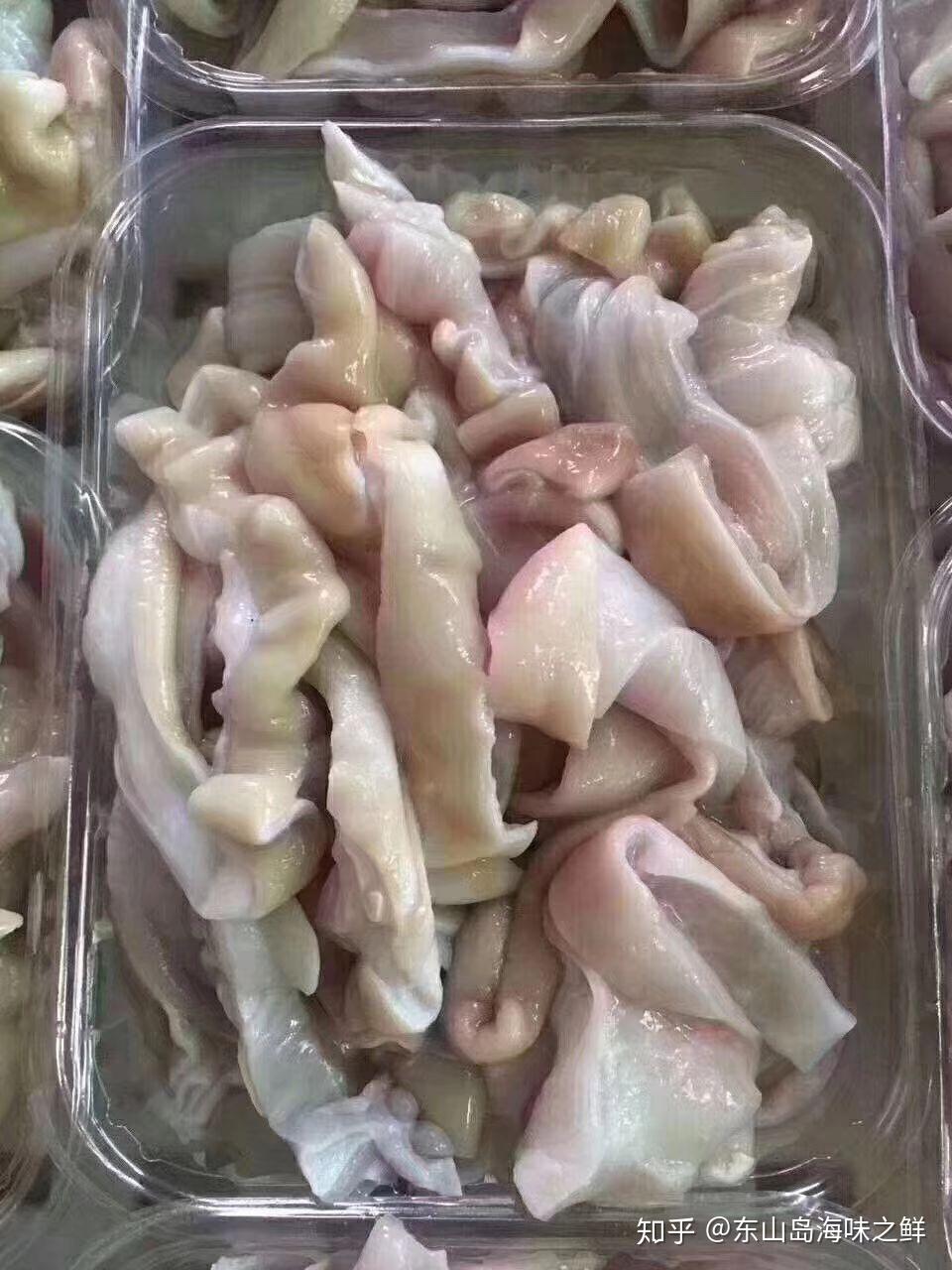 鲨鱼肚含有丰富的胶质养颜也养胃