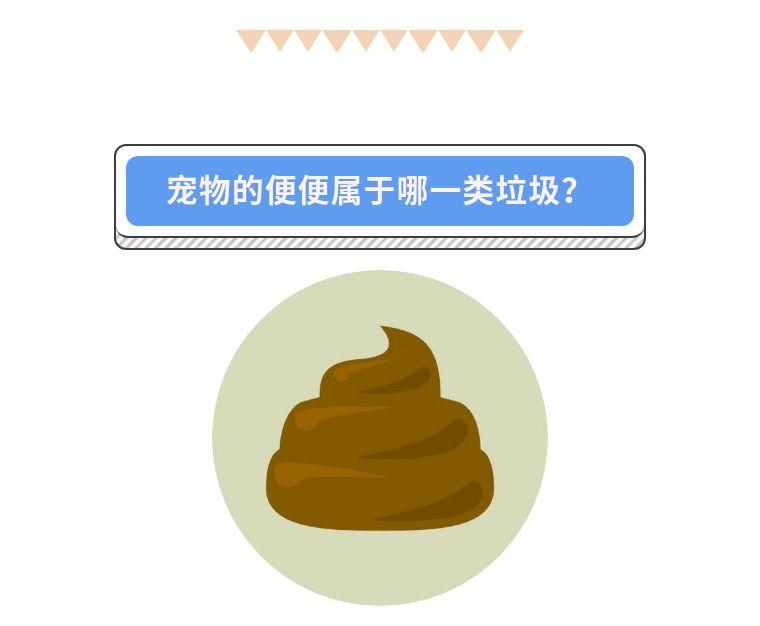 比如说,宠物们的便便属于哪一类垃圾,该如何分类呢?
