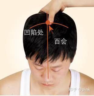 百会穴在哪里?有哪些功效? - 知乎