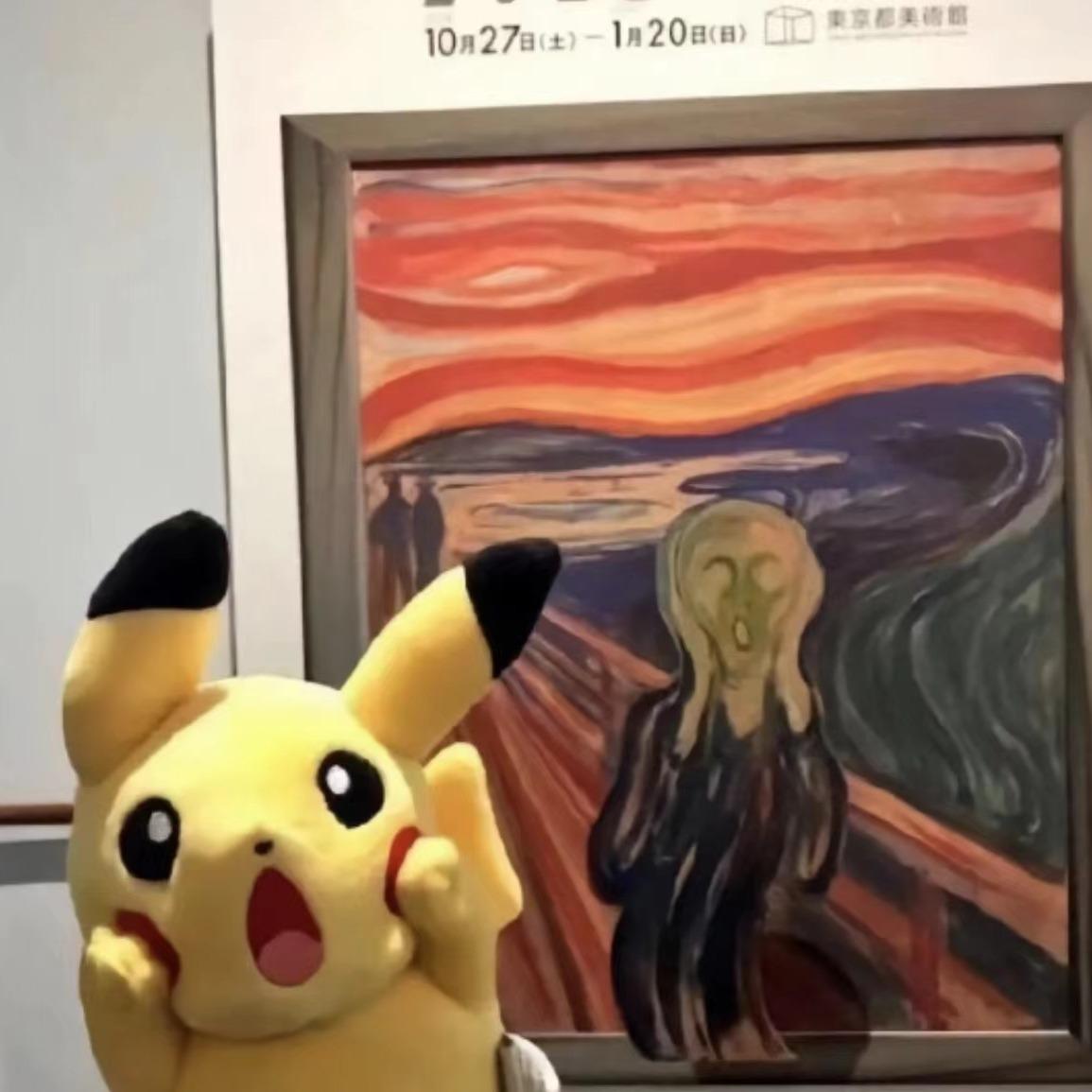 皮不卡丘的日记