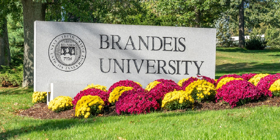 选校参考布兰迪斯大学brandeisuniversity