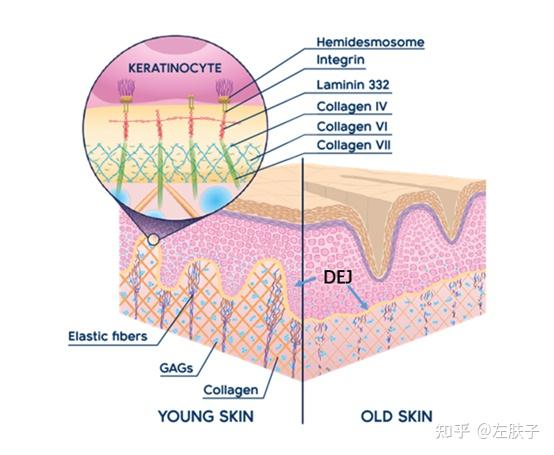 太空护肤时代的到来我国有做好准备的护肤品吗