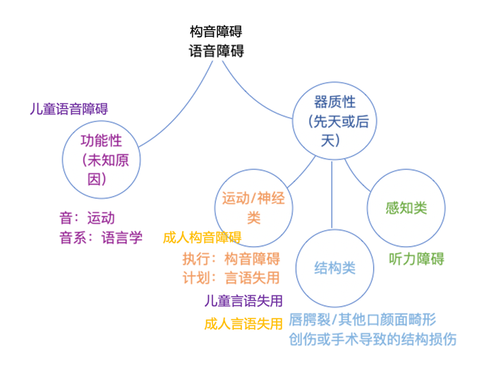 但是成人构音障碍(dysarthria)会分为六种类型,比如中枢神经/上运动
