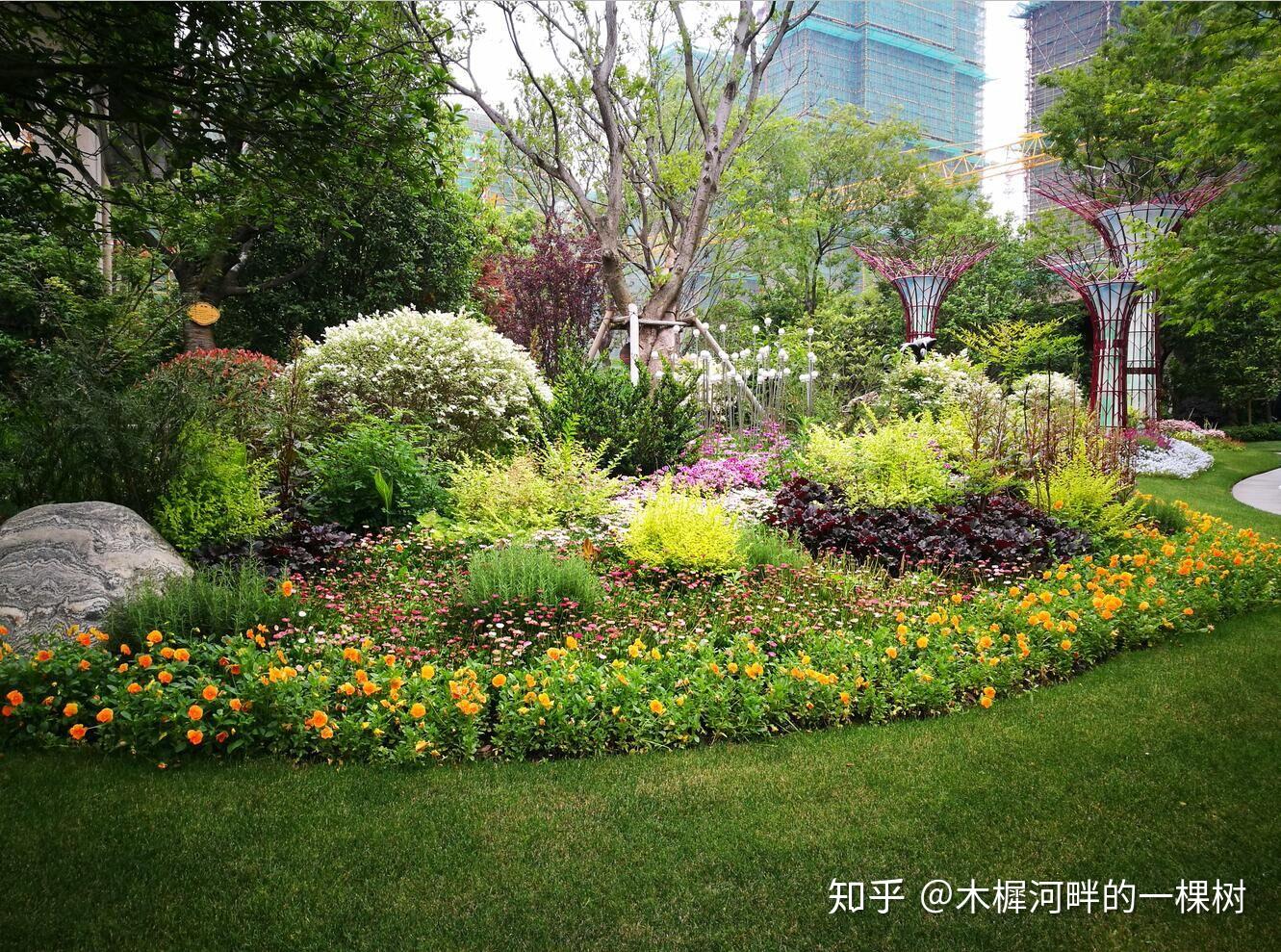 咋这么好看，活久见，植物与水景搭配才最美 - 深圳市绿雅坊景观园艺有限公司