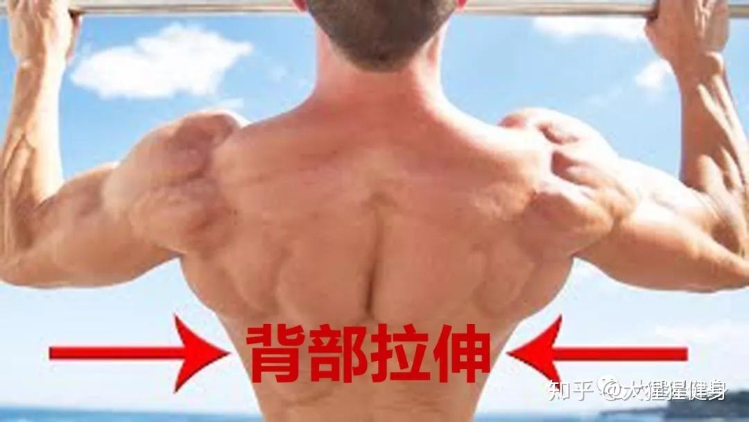 背部训练后酸痛?教你最佳的背部拉伸方式 - 知乎