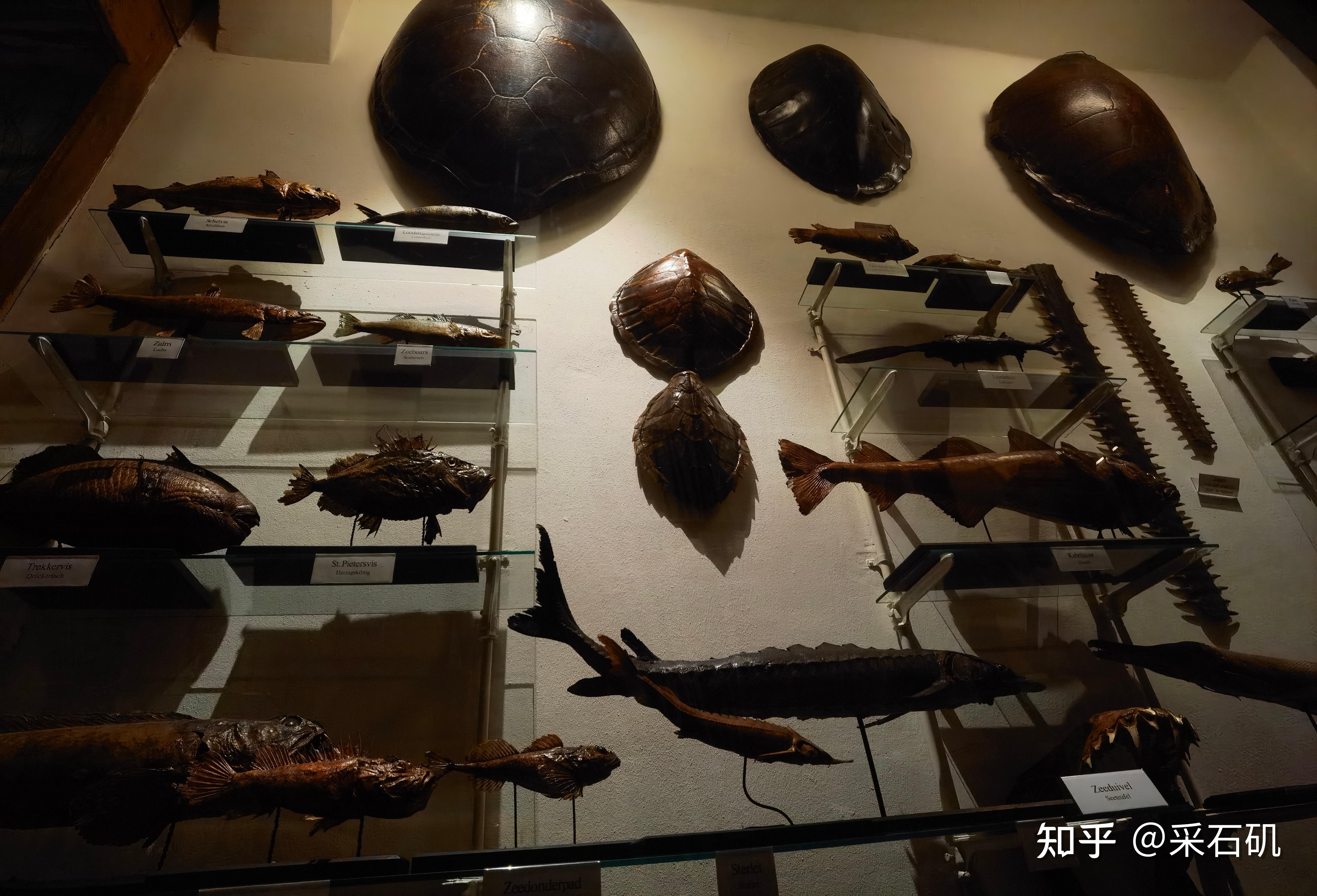 该博物馆主要展示与天主教传教士相关的展品,包括家庭用品,传教士照片