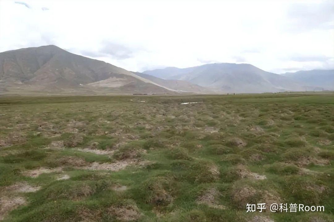 中国面临世纪难题!青藏高原永久冻土变化预示巨大危机 - 知乎