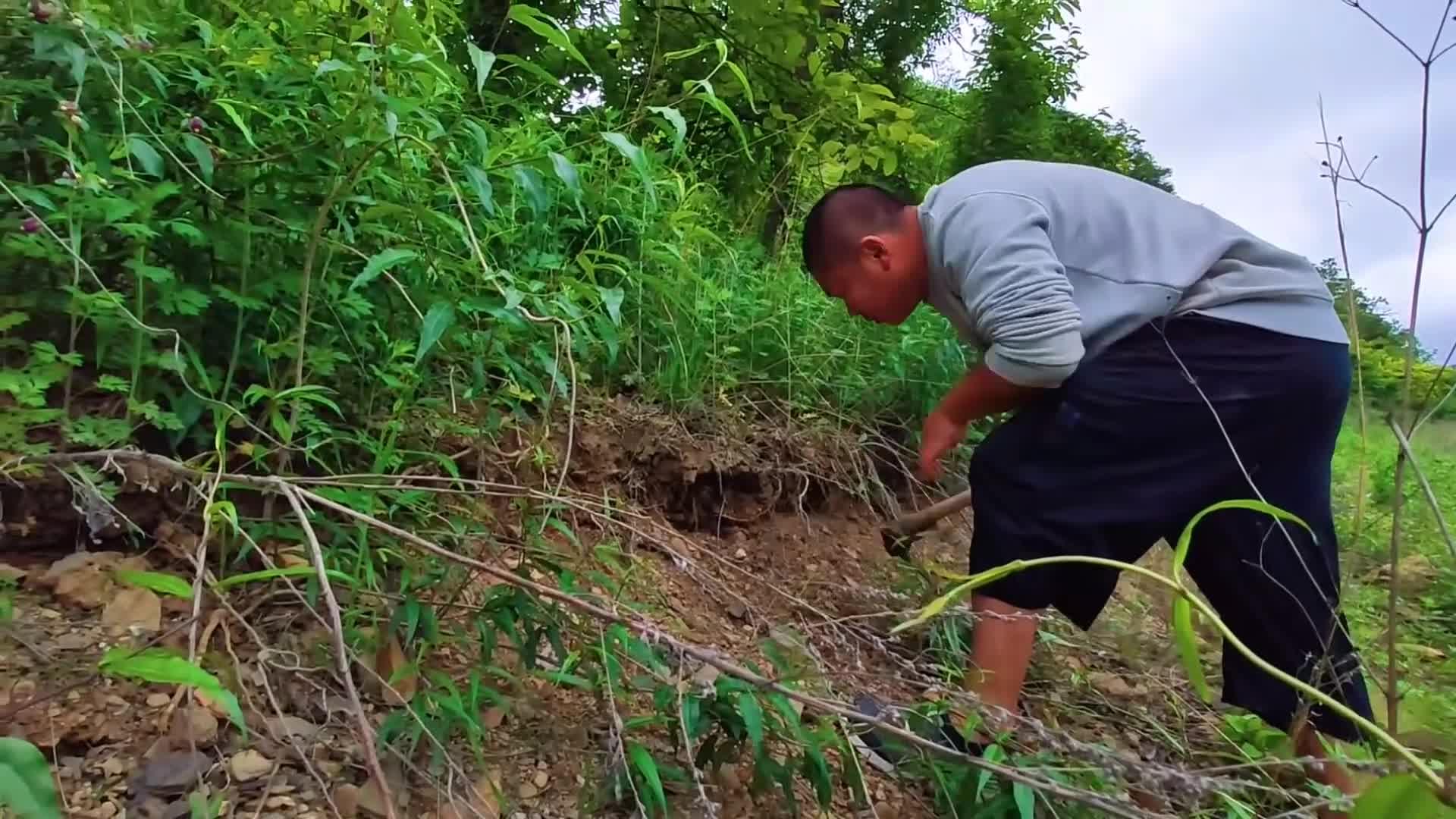 經過數十億年的火山噴發形成的彩色水晶礦石寶石#挖寶石