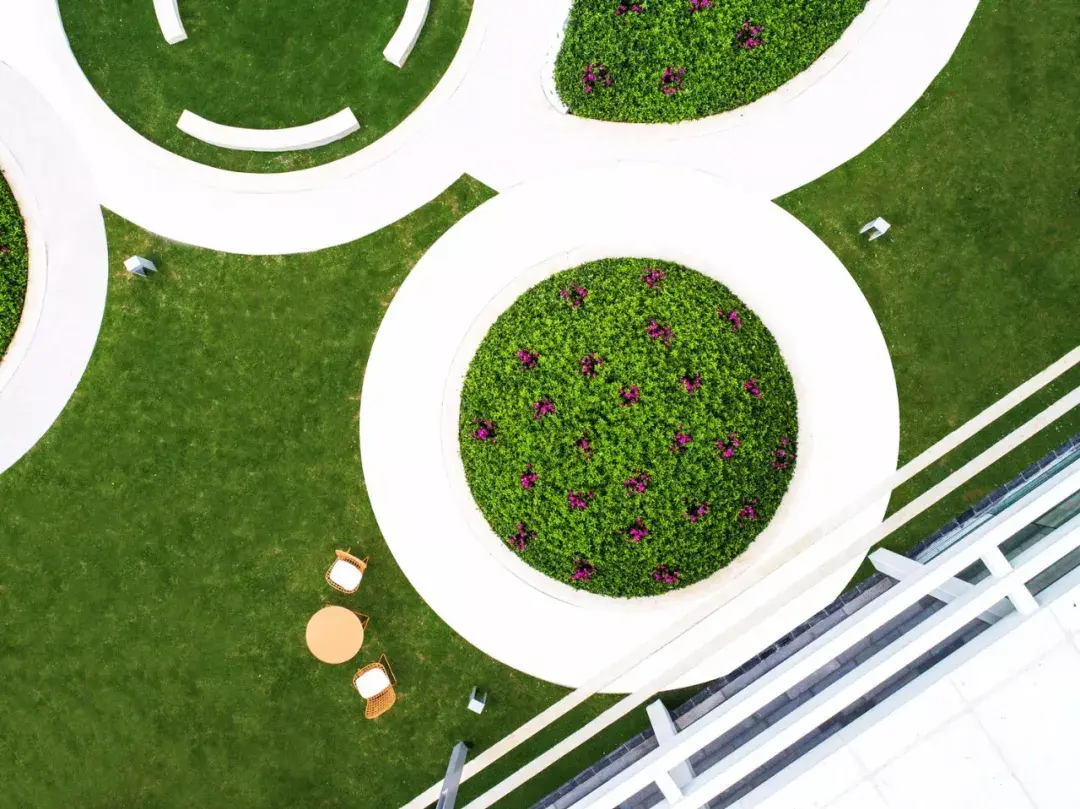 自然景观设计与植物搭配的精髓