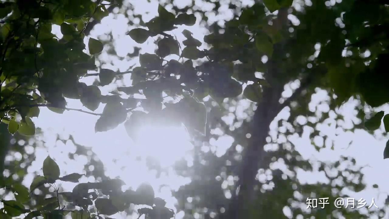 如何评价佟丽娅,张鲁一主演的电视剧《爱国者