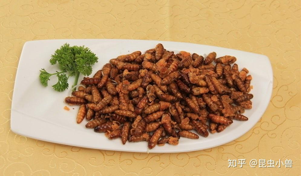 清脆有嚼劲蚯蚓 又称地龙012白灼地龙就是想吃也不知道说什么油炸禾虫