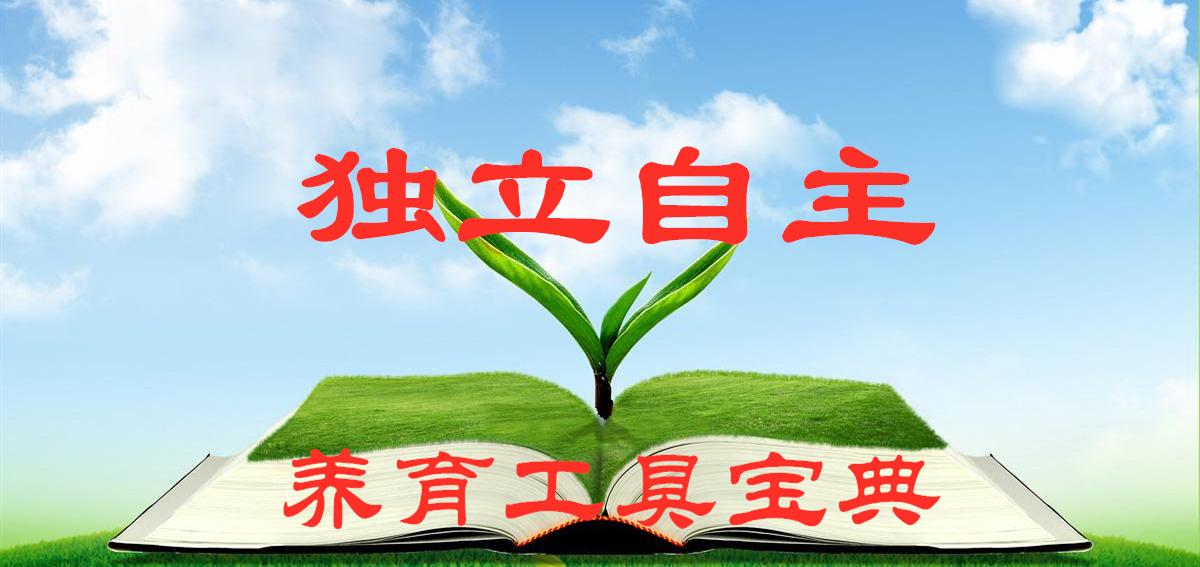 养育工具宝典之独立自主