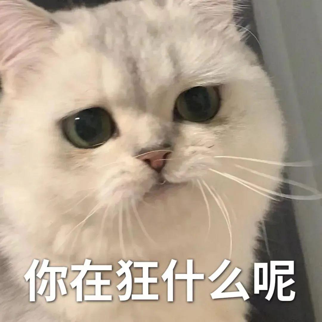 120张万能的表情包推荐-万能表情图片大全