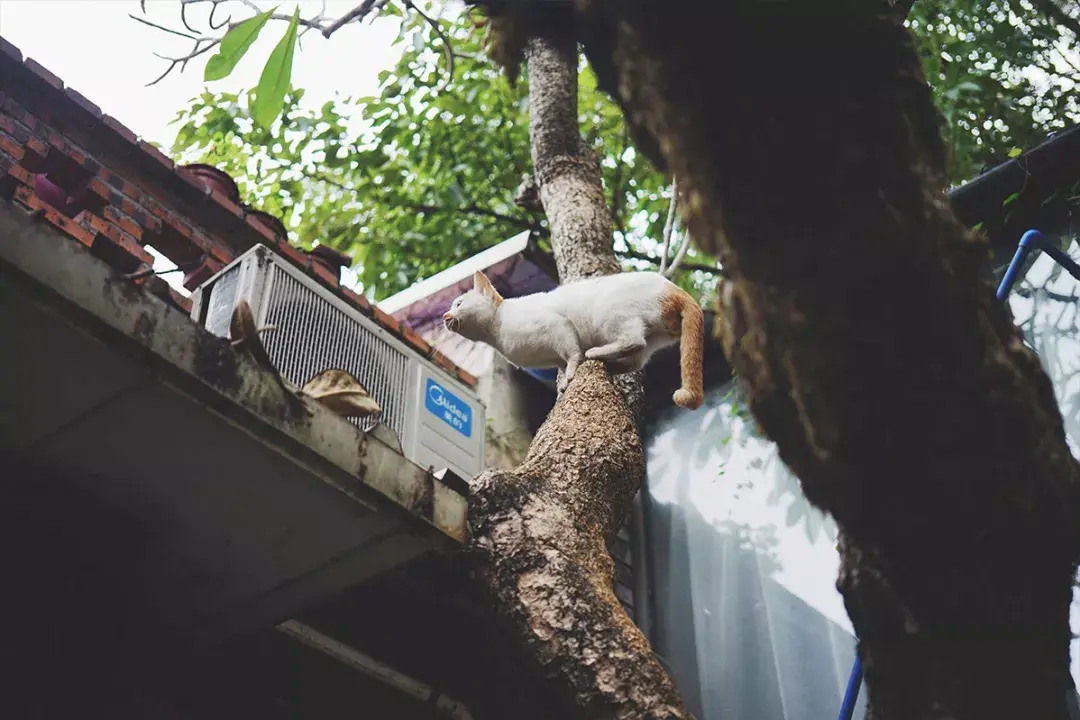 广州最美创意园东方红即将拆迁来做最后的告别吧