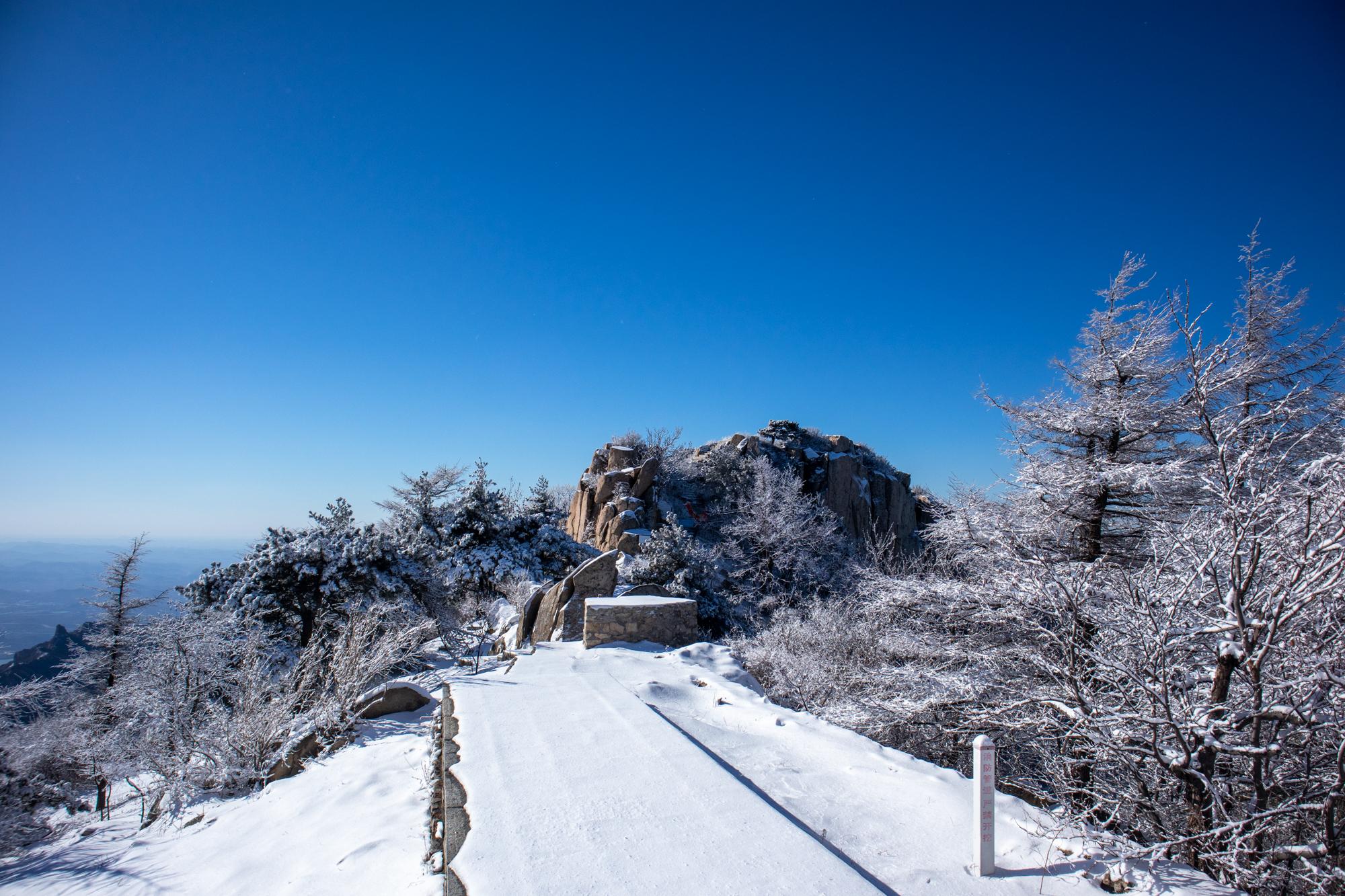 远看北天门的橡树林,美得不像话大雪压青松戴上冰爪走出来的脚印,后面