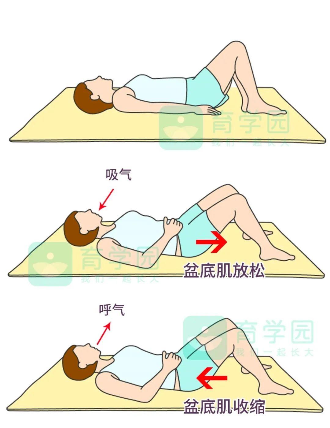 凯格尔运动难点的应对方法—02在做凯格尔运动时可以站立位,也可以