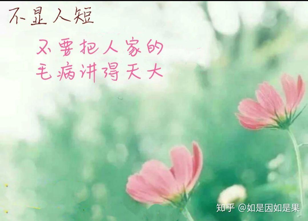 v2-bda08e8ee514b43a28488e101cfeac83_r.jpg