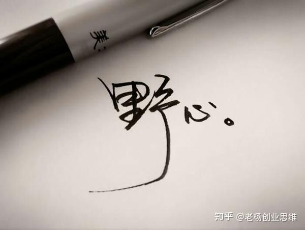 有野心和能力的成语