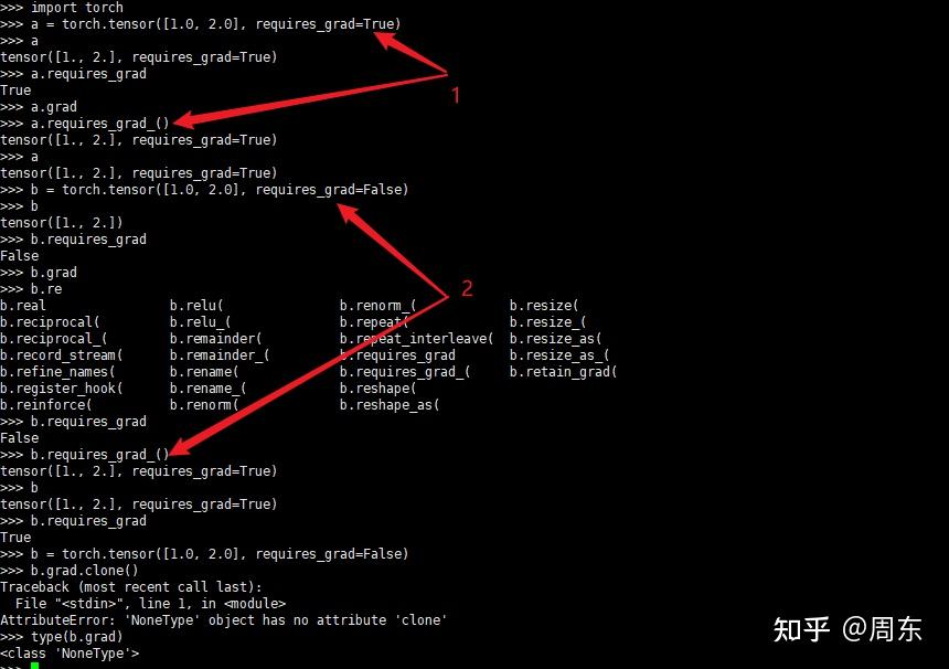 Pytorch grad nonetype 