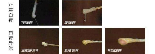 zhuanlan.zhihu.com