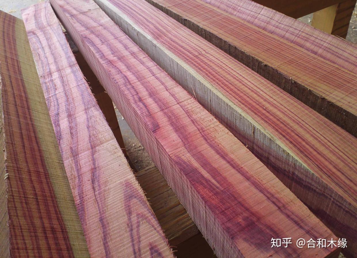 认识国标红木73——绒毛黄檀(巴西郁金香,郁金香酸枝,巴伊亚酸枝)