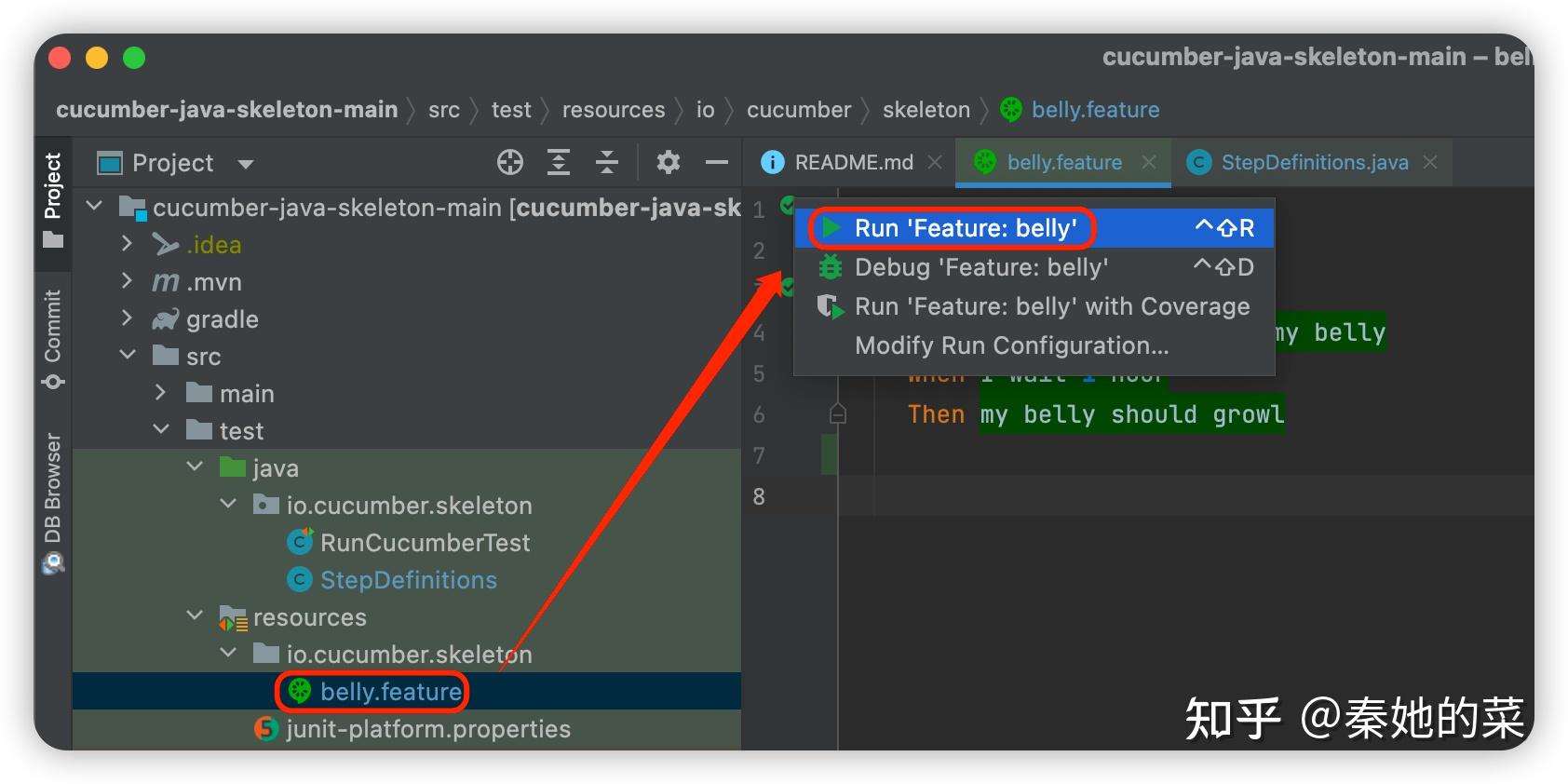 【保姆级】SpringBoot整合Cucumber >>> part1 知乎