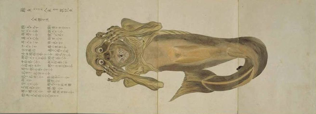 哈迷枕边书为什么人类会害怕人鱼