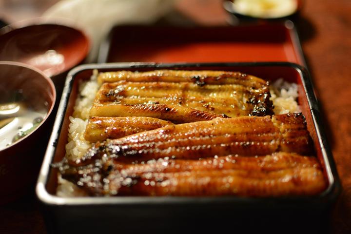 夏天吃鳗鱼 京都奈良鳗鱼料理名店大全 知乎 夏天吃鳗鱼 京都奈良鳗鱼料理名店大全 知乎