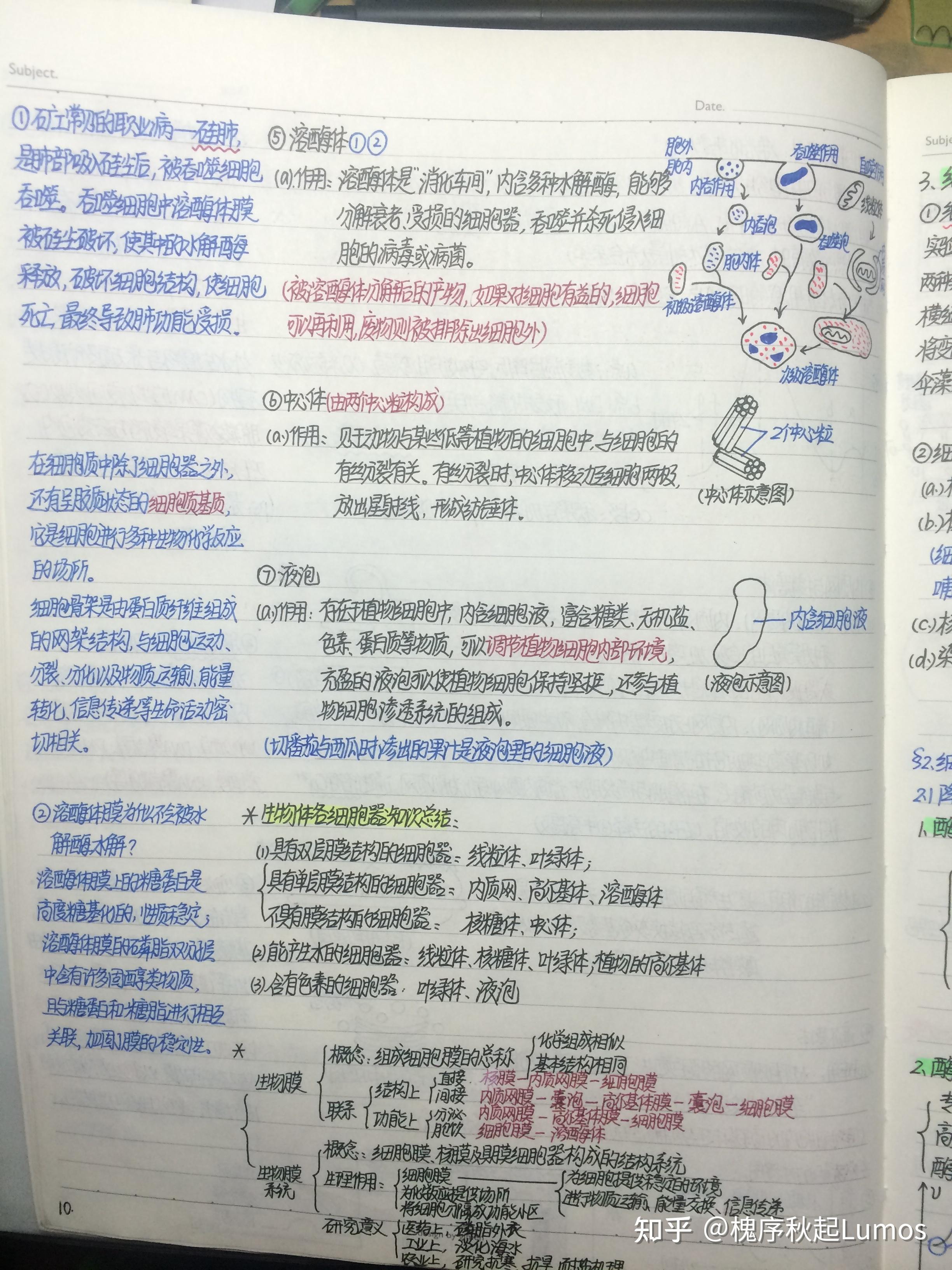 高中生物笔记1 分子与细胞(手写笔记) - 知乎