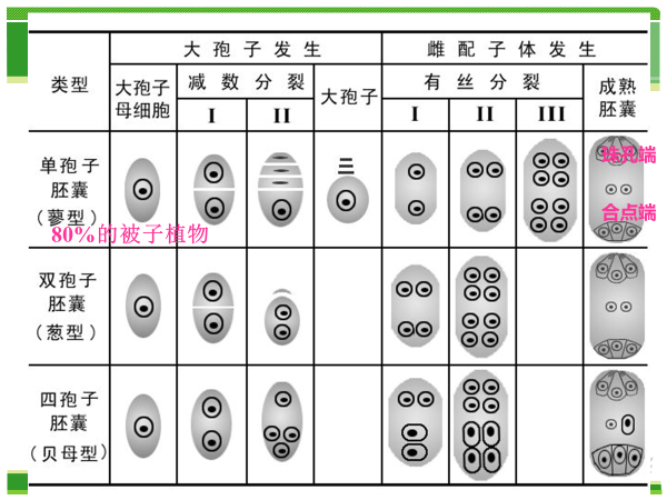 植物学期末复习植物生理部分（光合不全） - 知乎