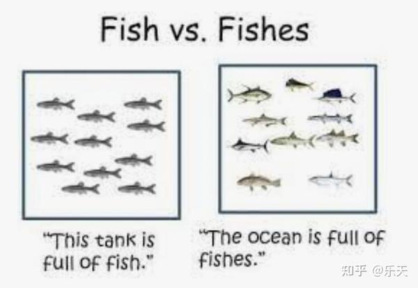 每天快乐一分钟英语 鱼 人鱼 美人鱼 知乎