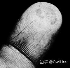 学科史上出现过哪些最终失败的有趣研究? 3 v2 be1373c4353115050eb7b461cb289179 720w