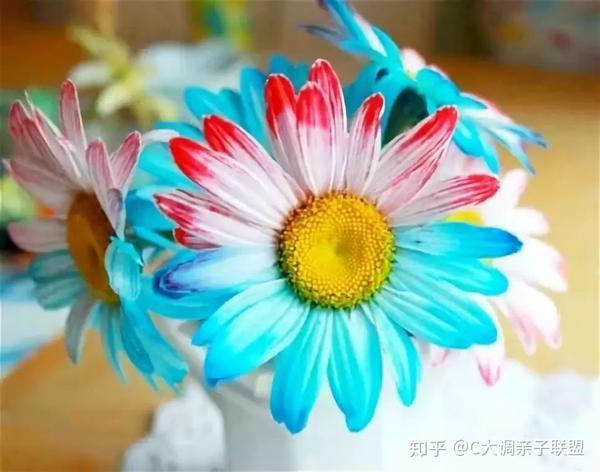春季科学实验 满足你家 小问号 的好奇心 知乎 春季科学实验 满足你家 小问号 的好奇心 知乎