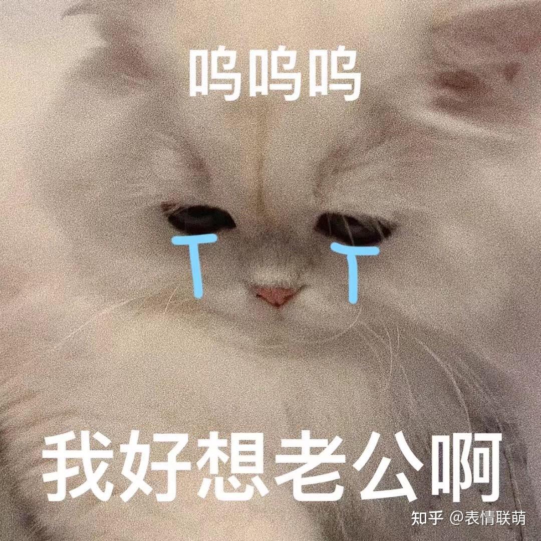 200张精选女生撒娇专用表情 - 知乎