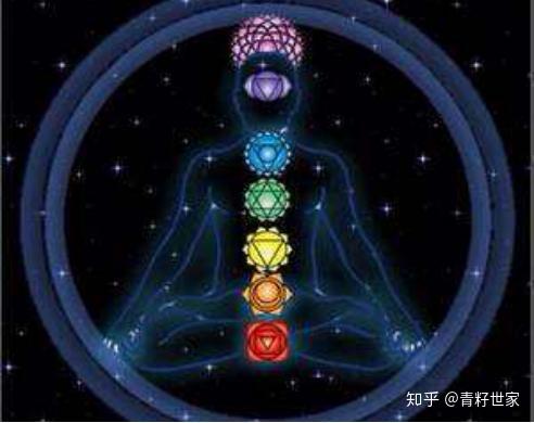 人体有哪七轮人体七轮分别对应身体的哪些部位