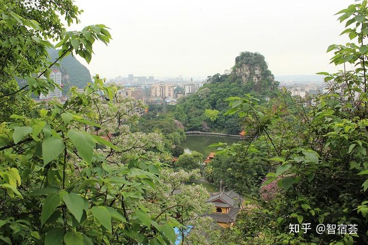 魚峰公園是國家 aaaa 級旅遊景區,位於柳州市魚峰路.