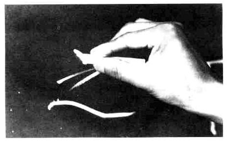 粉笔字教程及实用技巧，教师必备！ - 知乎