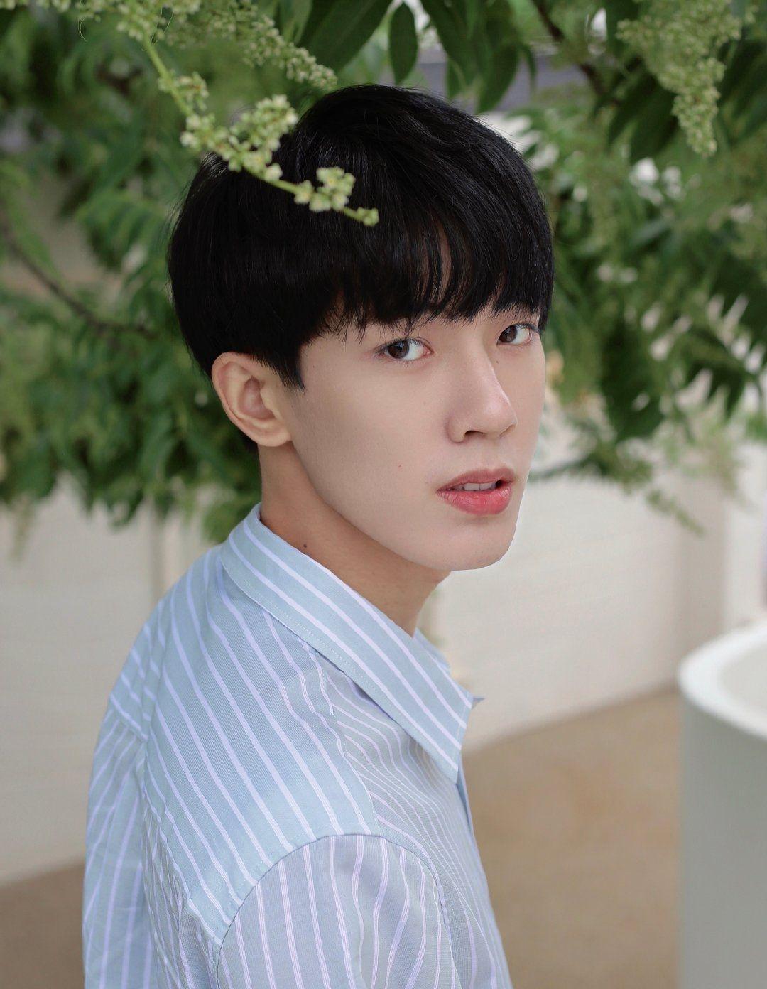 有叶航成的照片吗