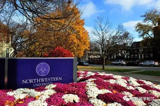 邹玉珂同学录取美国西北大学传媒硕士!祝贺美勤!