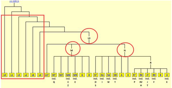 v2-be80f57066d3437510e1cee9aa22dfab_r.png