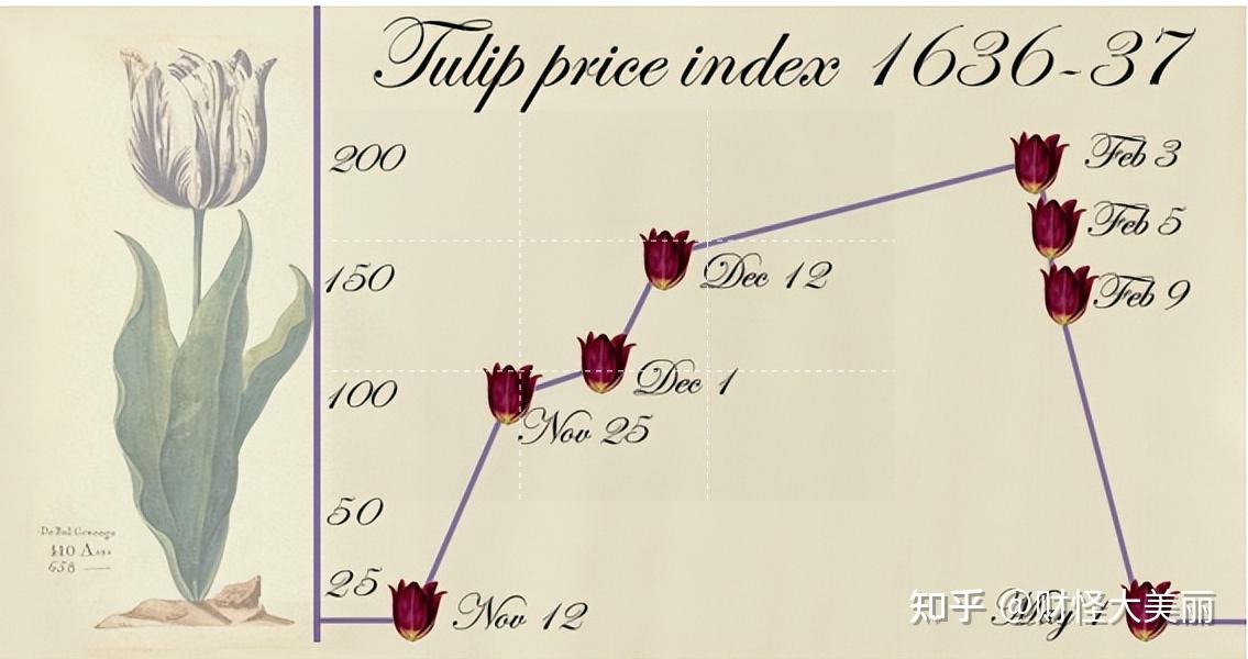 历史上的那些泡沫：著名的荷兰郁金香泡沫 知乎