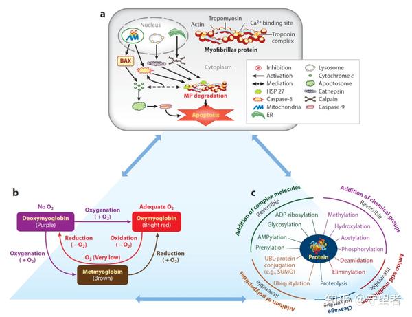 Annual Review Of Food Science And Technology annual-review-of-food-science-and-technology