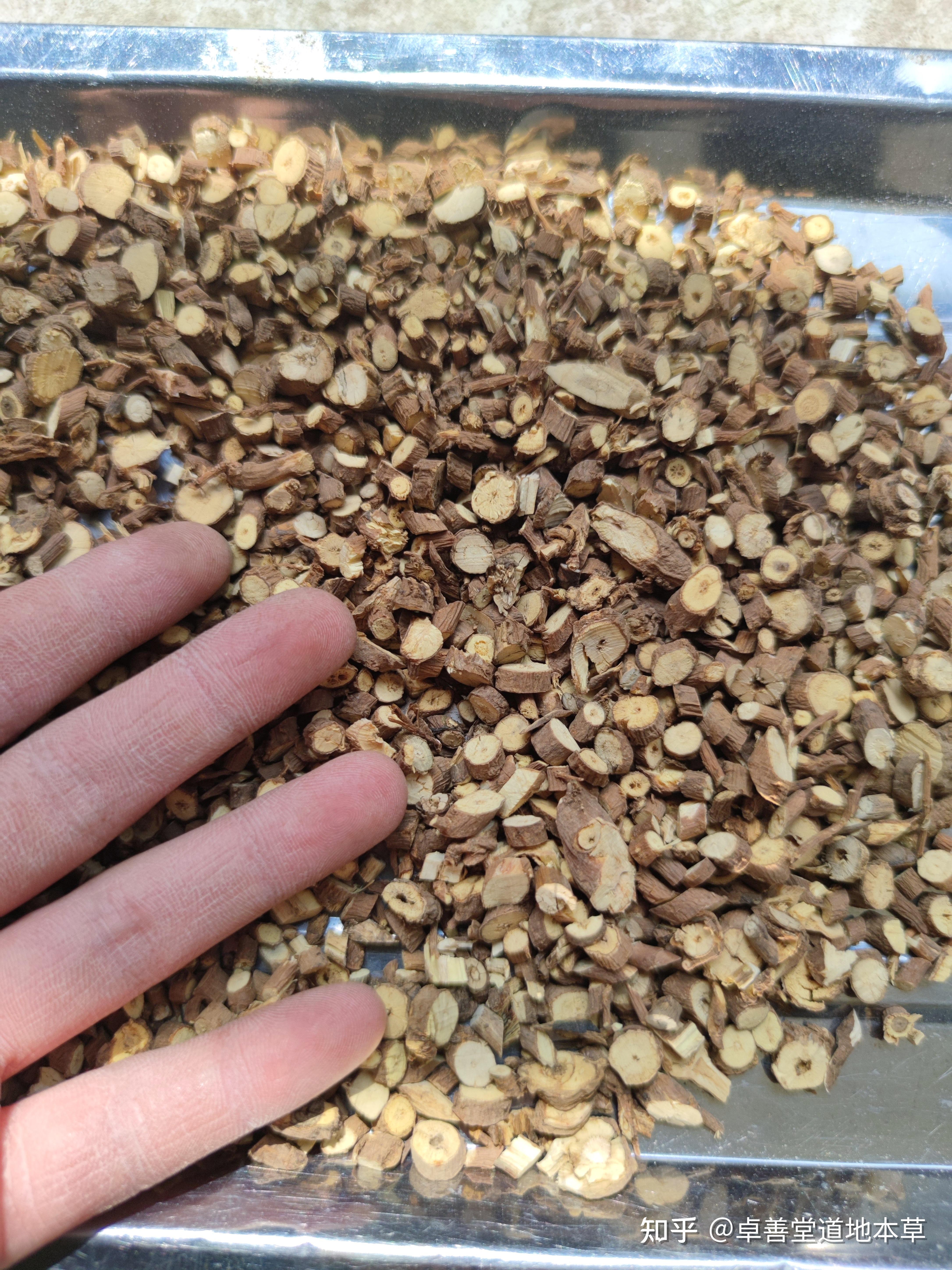 柴胡,常用柴胡辨别